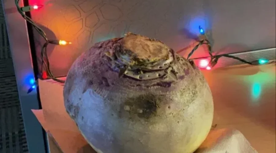 The Turnip Elf Has Once Again Surprised The Country 100.7/CKBW Crew!!!