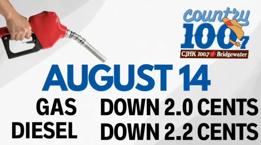 ⛽️Fuel Prediction⛽️- August 14th