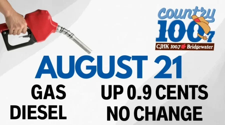 ⛽️Fuel Prediction⛽️