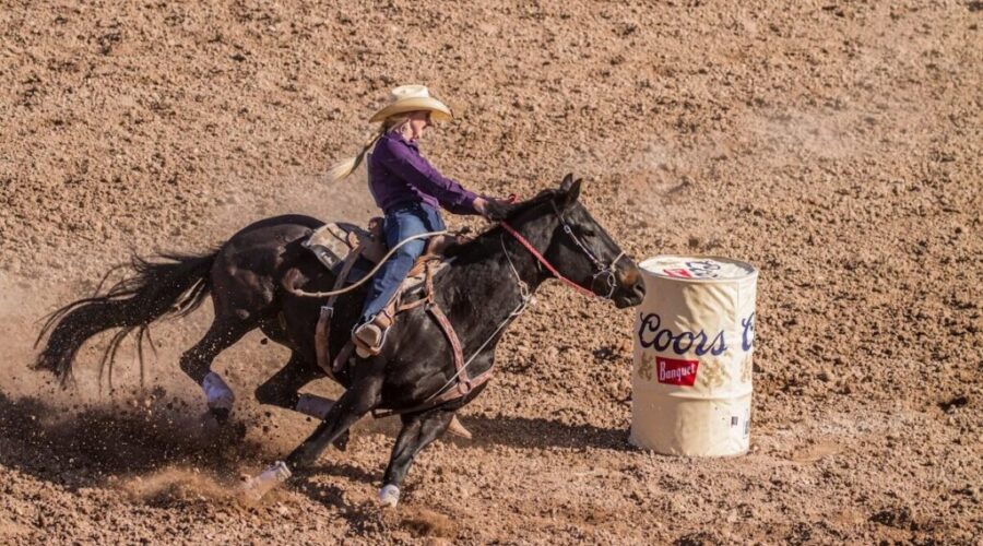 Nova Scotia Stampede will not return for a third year in 2026