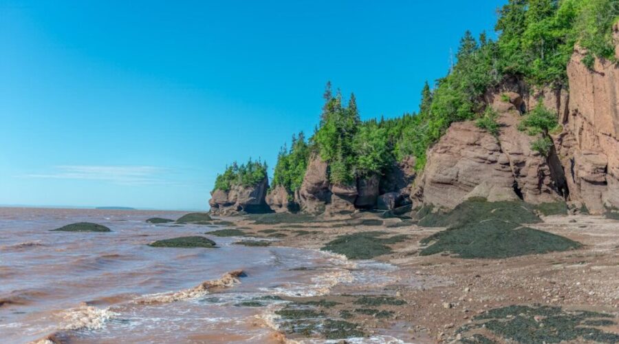 Human remains discovered on Bay of Fundy beach