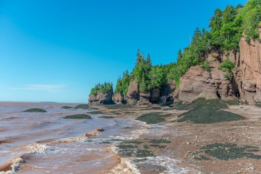 Human remains discovered on Bay of Fundy beach