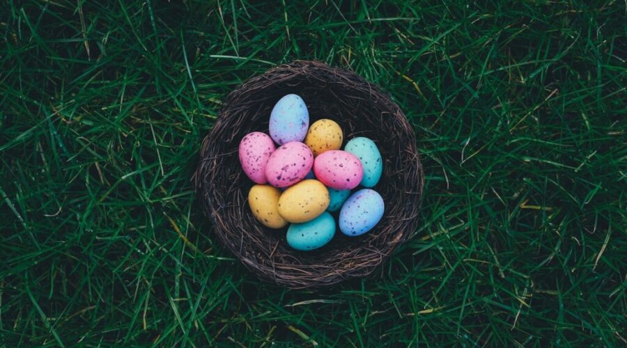 What’s happening on YOUR South Shore | April 1–7