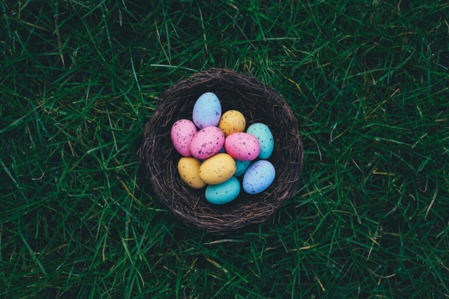 What’s happening on YOUR South Shore | April 1–7