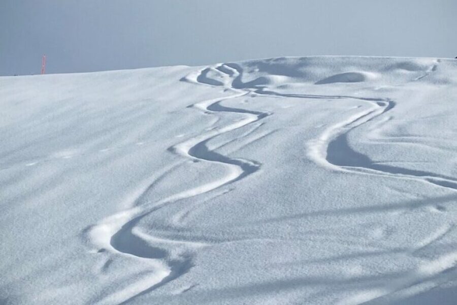Can You Keep Snow All Summer? Martock Is Giving It a Try