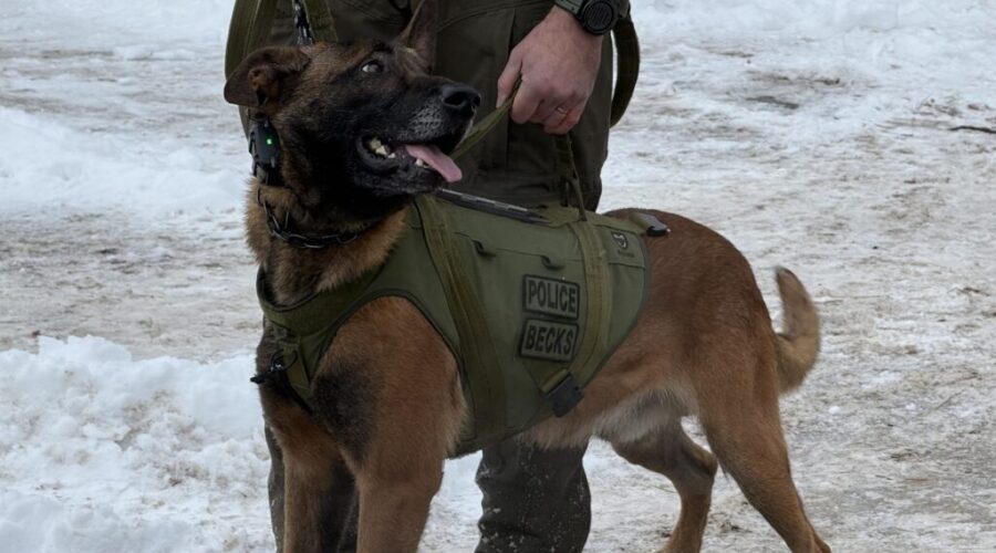 IPV-related incident leads to firearms arrest in Eastern Passage