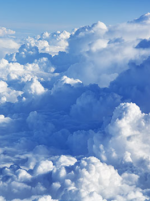 David Osborne Whynot