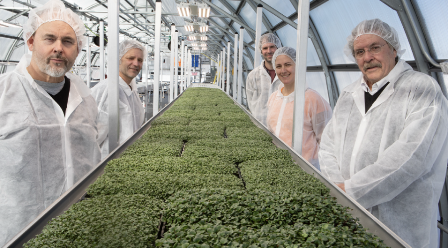 Bridgewater-area startup wins pitch competition, heading to Italy