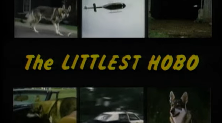 The 10 most ridiculous things The Littlest Hobo pulled off