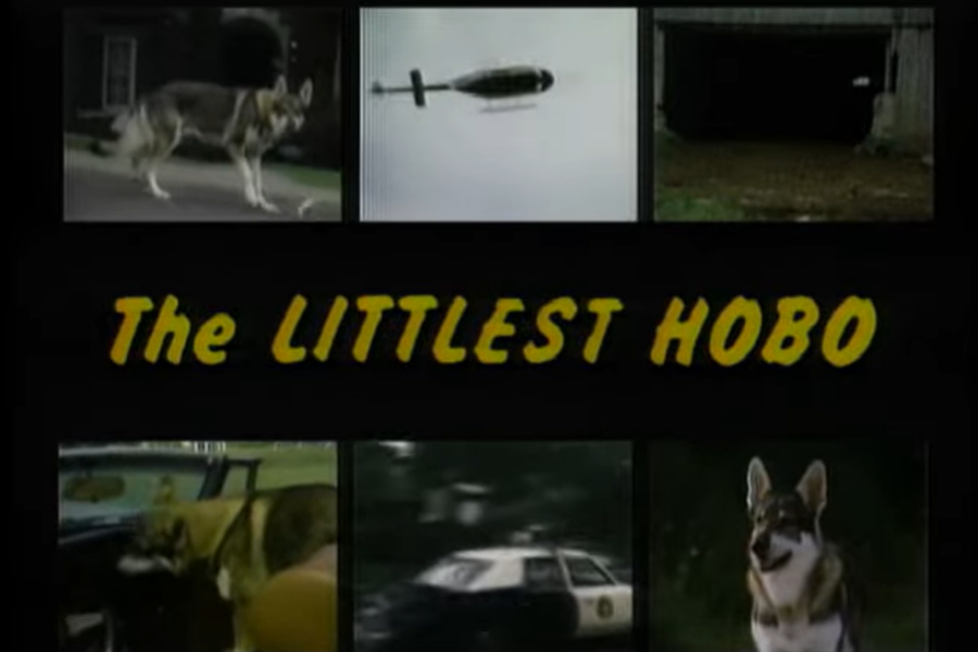 The 10 most ridiculous things The Littlest Hobo pulled off