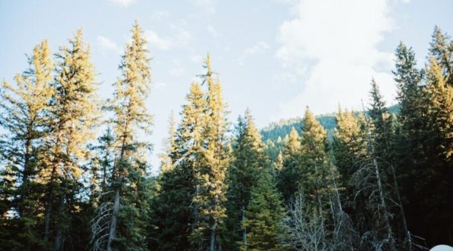 Netflix drops the first trailer for the Little House on the Prairie reboot