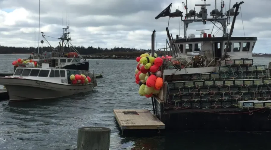 Federal funding aims to upgrade small craft harbours in Nova Scotia