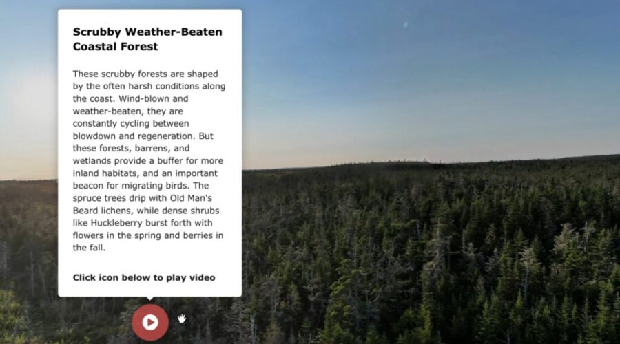 New online platform showcases Nova Scotia’s hidden natural landscapes