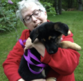 Lorraine Virginia Wade Gailey