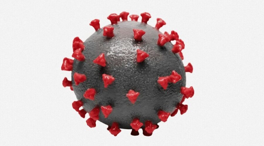 What Is Hantavirus and Why Are People Talking About It Again?