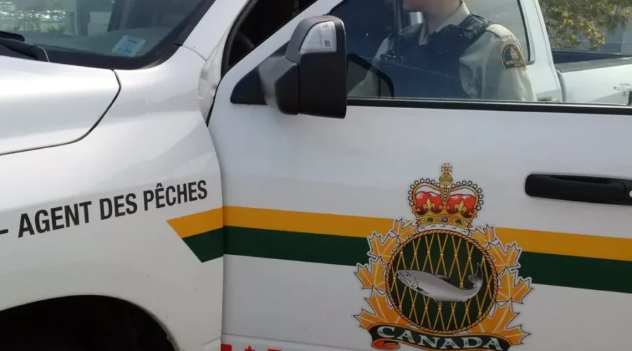 DFO seizes more than 1,000 pounds of lobster in southwest Nova Scotia