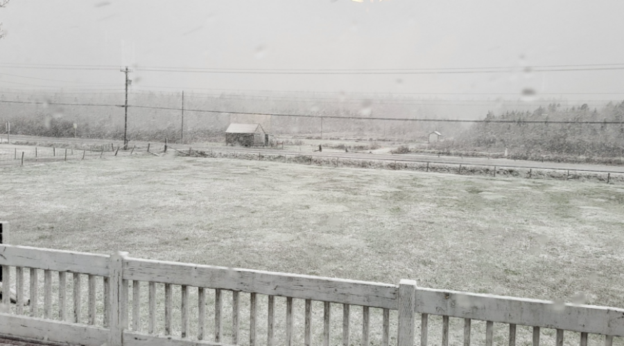 Unusual May snowfall sets record in Yarmouth