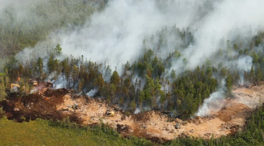 Long Lake wildfire now fully out after nearly 1 year: DNR