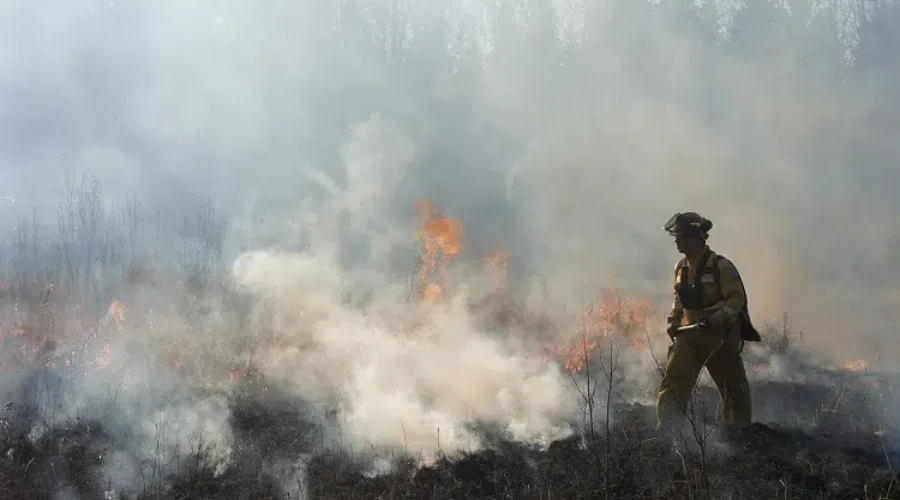 Update: Wildfire burning in Queens County now under control
