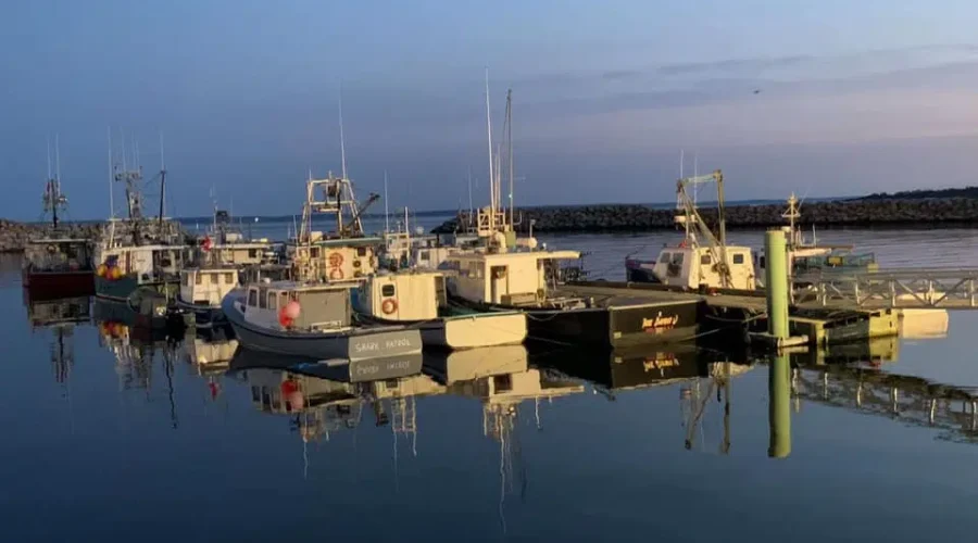New classroom program introduces students to Nova Scotia’s seafood industry