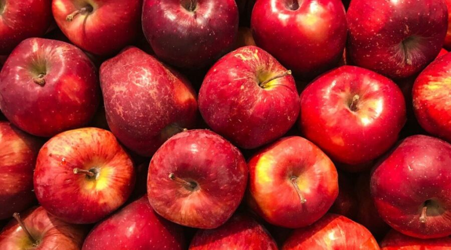 Have you noticed Nova Scotia Honeycrisp Apples looking smaller lately?